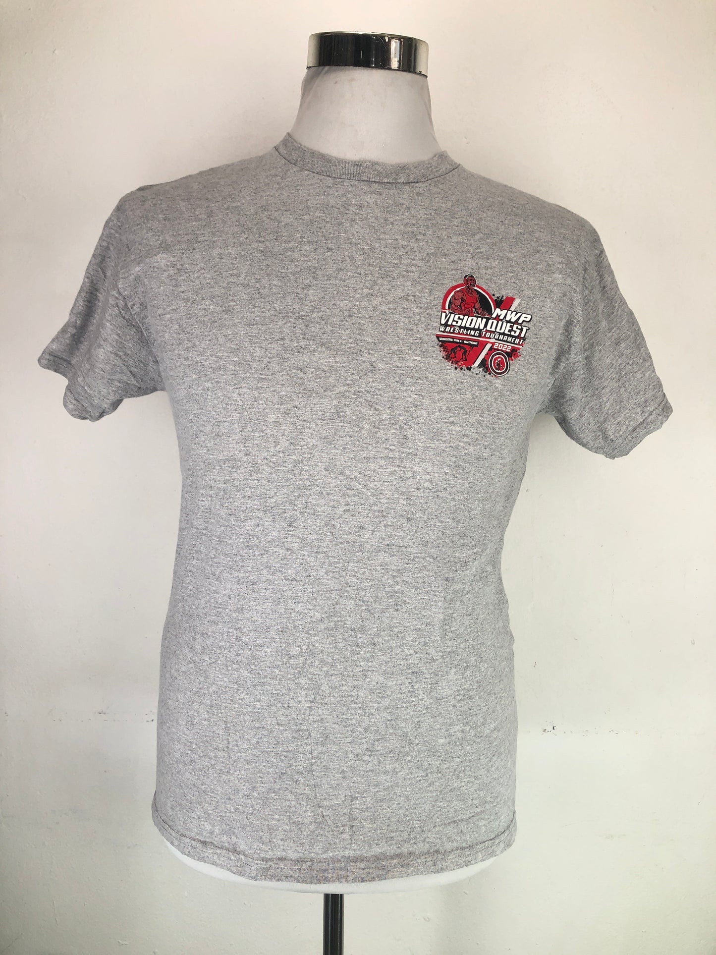 Camiseta Gris Hanes