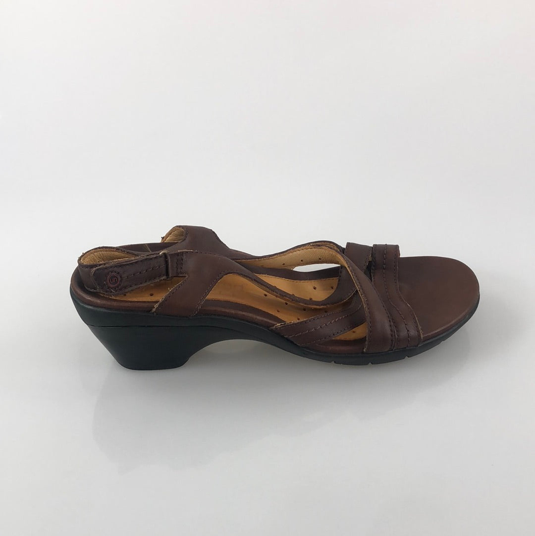 Zapatilla Marron Structured